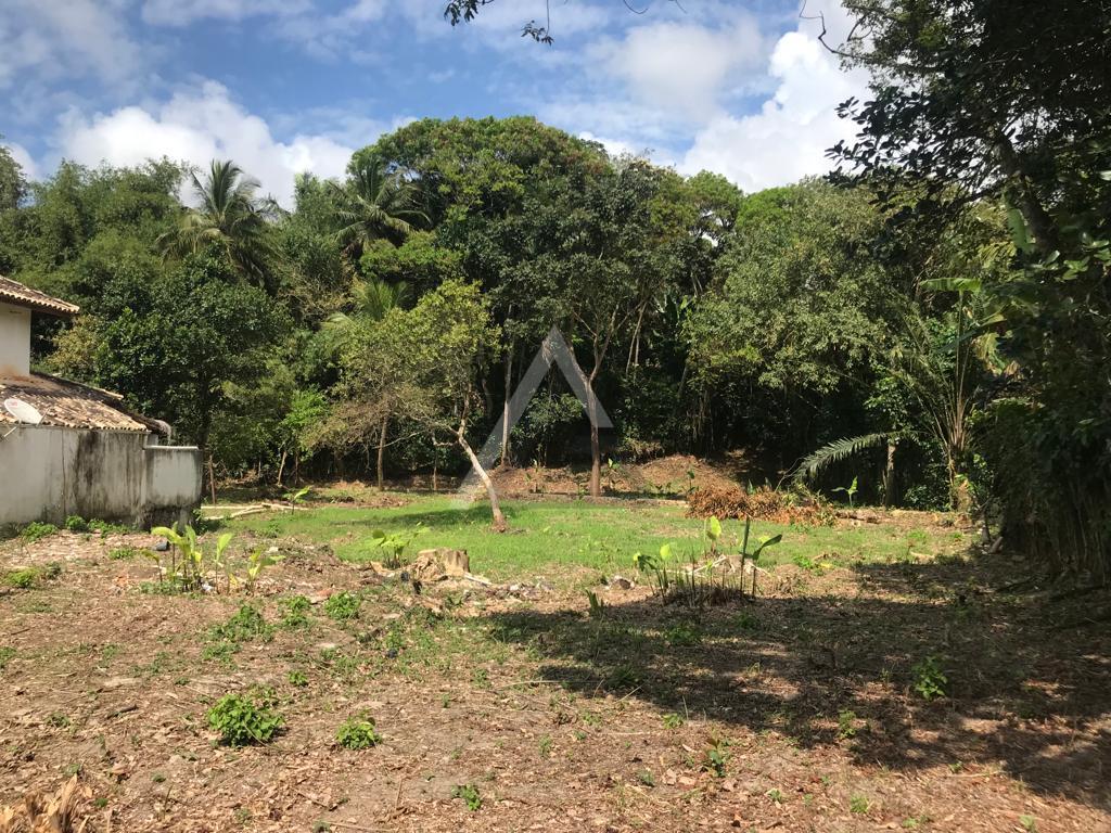 Terreno, 1378 m² - Foto 2