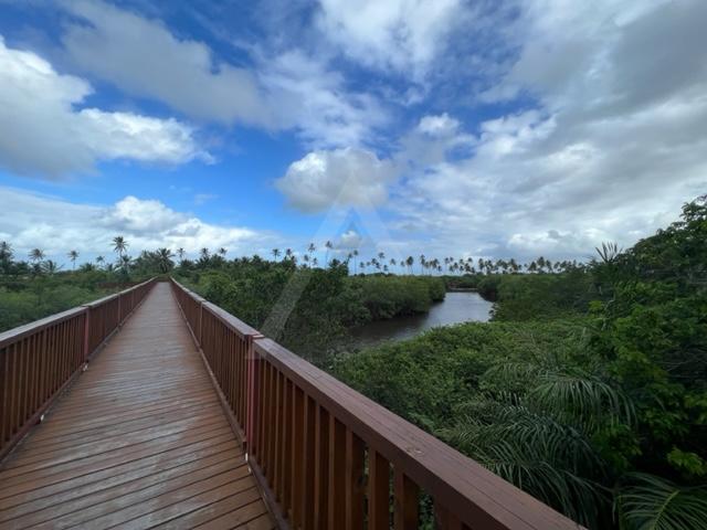 Terreno, 700 m² - Foto 14