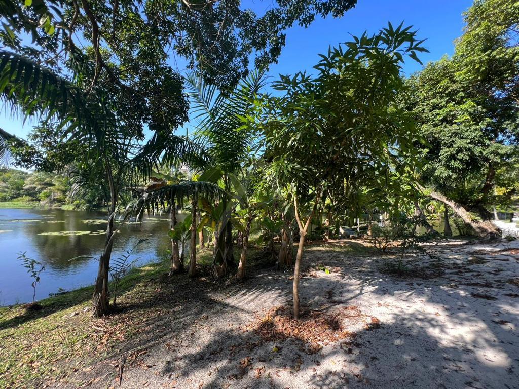 Casa de Condomínio, 4 quartos - Foto 34